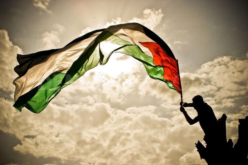 علي خطي حلفائها الأوروبيين..إيطاليا تعترف بدولة فلسطين